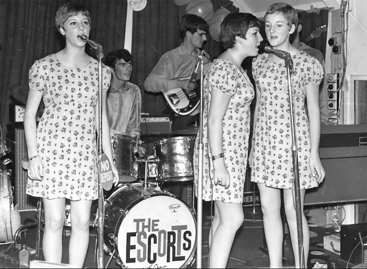the cookies 1967 on tour in queensland